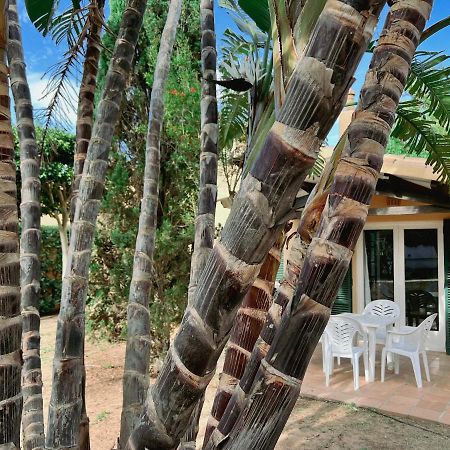 Bungalow Tropical Nº6 - Son Xoriguer Appartement Buitenkant foto