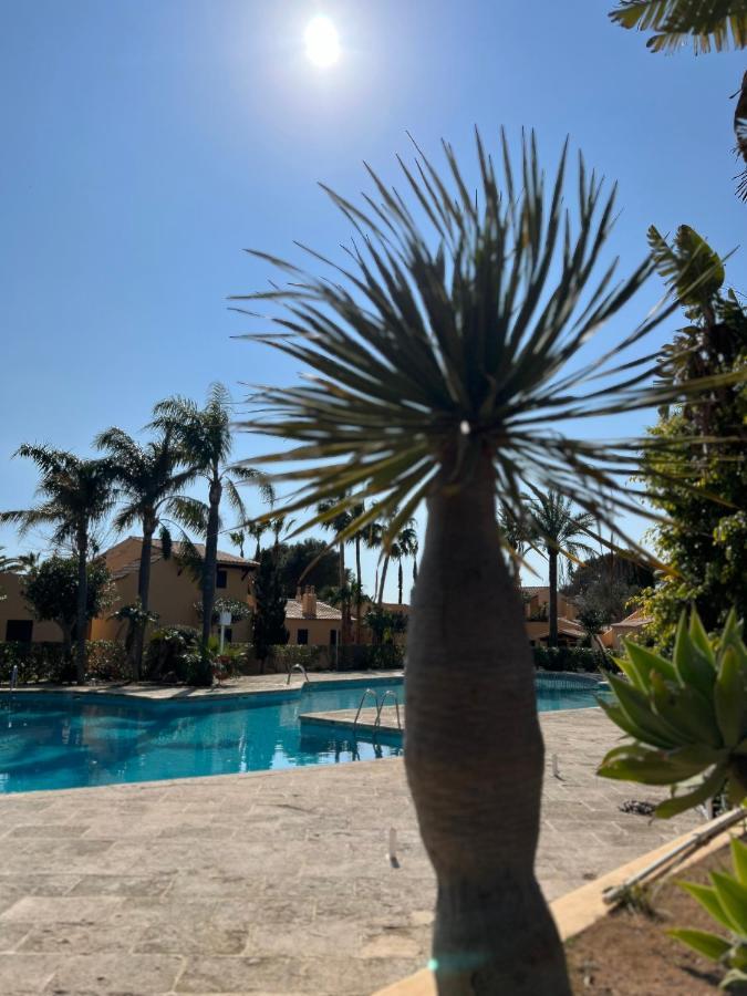 Bungalow Tropical Nº6 - Son Xoriguer Appartement Buitenkant foto