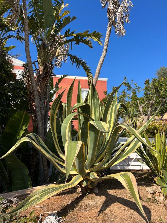Bungalow Tropical Nº6 - Son Xoriguer Appartement Buitenkant foto